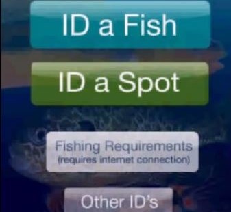 A Fishy Jurisdiction Ruling Involving Mobile Apps--Tomelleri v. MEDL