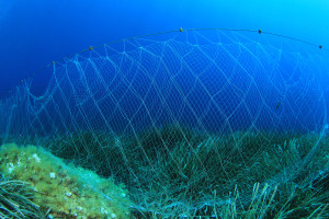 Photo credit: Underwater fishing net // ShutterStock.com