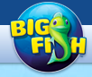 Ninth Circuit Reinstates Virtual Platform Gambling Lawsuit Against Big Fish