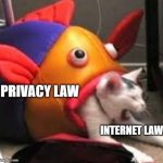 Privacy Law Is Devouring Internet Law (and Other Doctrines)...To Everyone's Detriment
