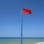 When Does Content Moderation Trigger Direct Copyright Infringement?--LoopNet v. CREXi (Catch-up Post)