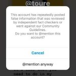 Court Upholds Instagram's TOS--Feds for Freedom v. Meta