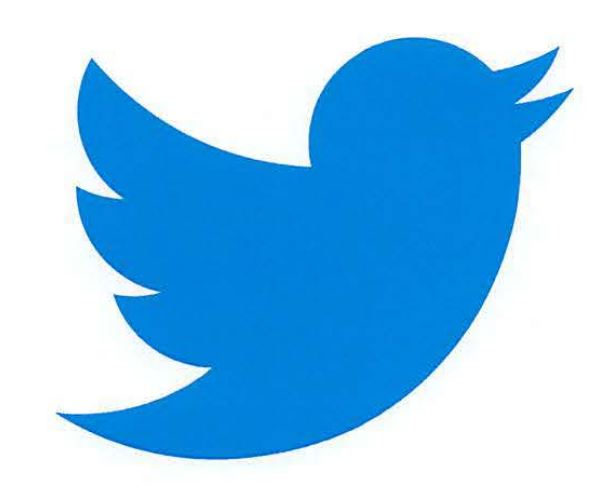 X Corp Loses TWEET and Bird Logo Trademarks in Court